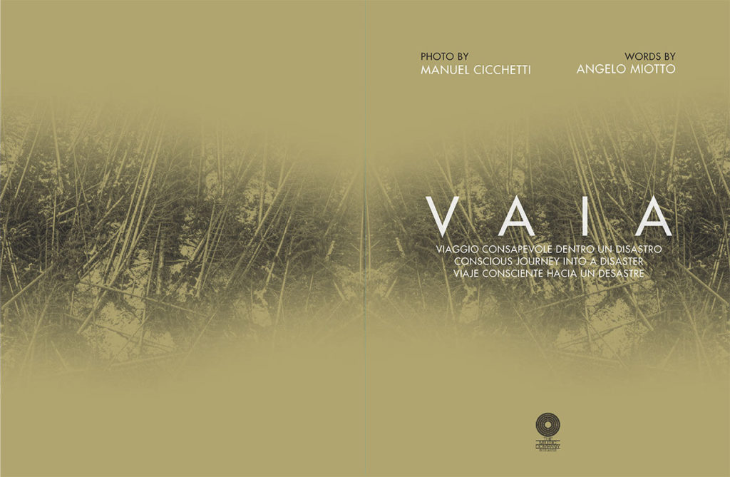 Vaia - Manuel Cicchetti